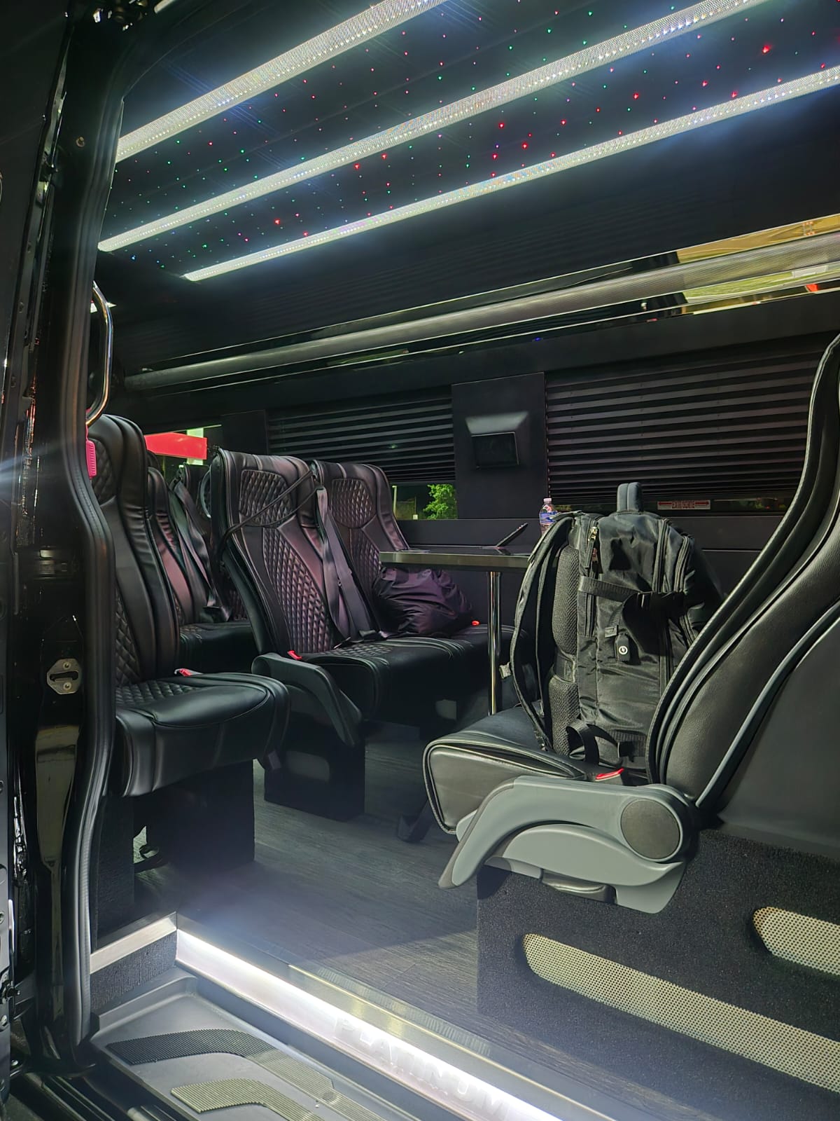 Mercedes VIP Sprinter Image