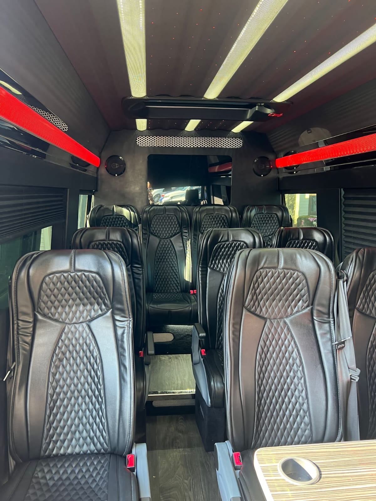 Mercedes VIP Sprinter Image