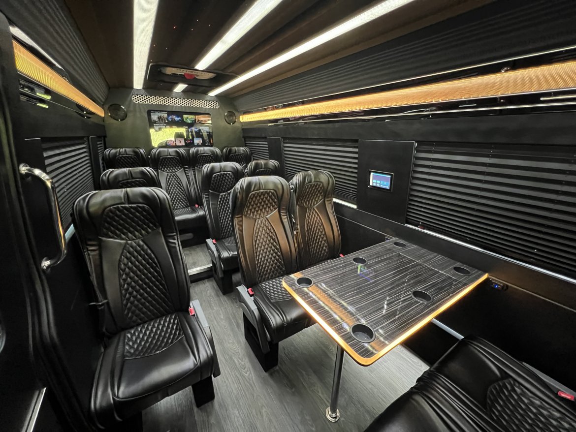 Mercedes VIP Sprinter Image