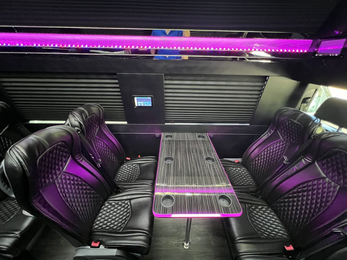 Mercedes VIP Sprinter Image