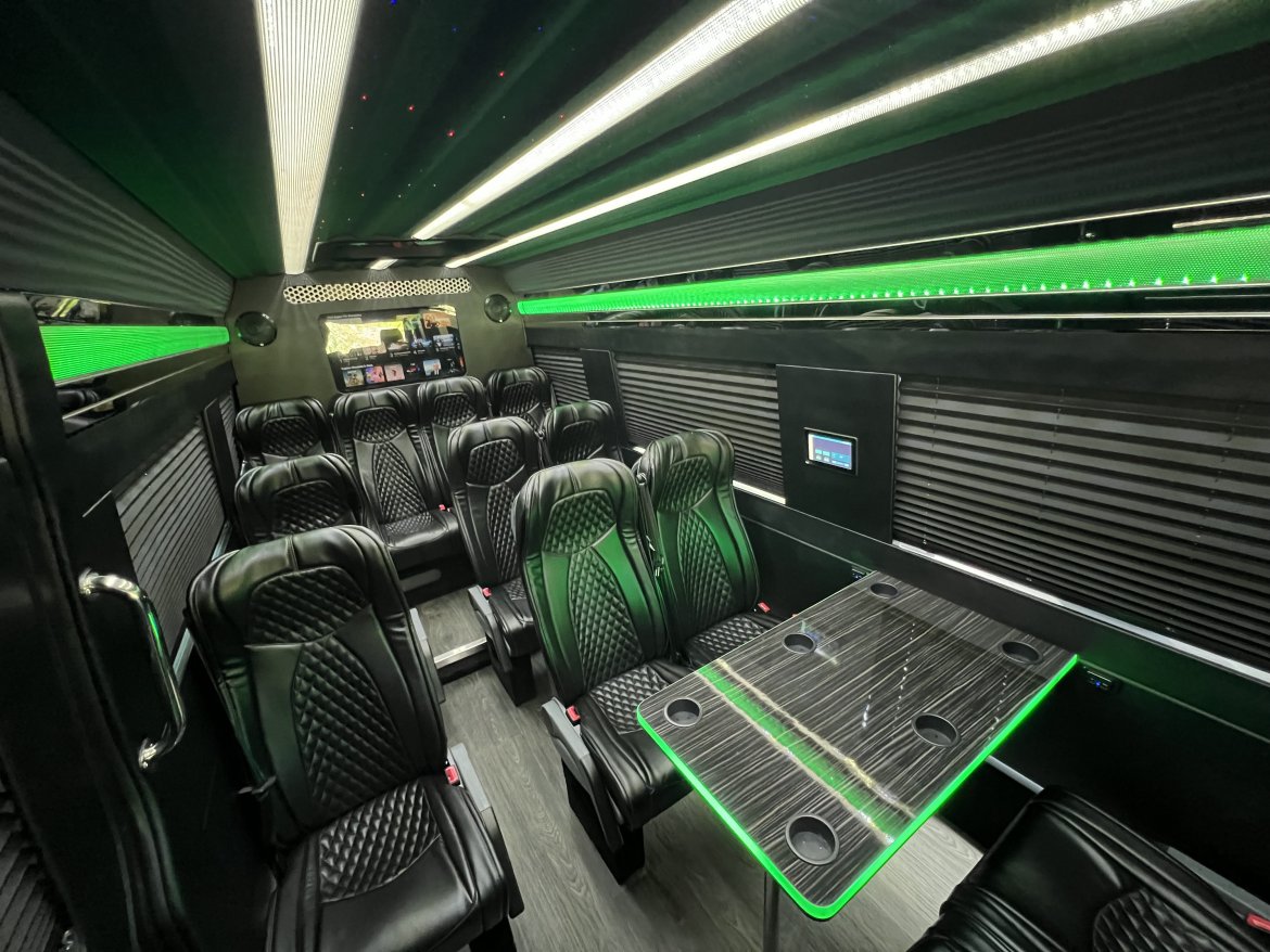 Mercedes VIP Sprinter Image